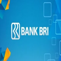 Cicilan Pinjaman Bank BRI Rp100 Juta dengan Suku Bunga Rendah dan Tenor Fleksibel