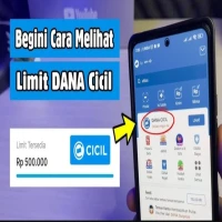 Emang Berapa Limit Pinjam Uang di Aplikasi DANA 2025? Bisa Kasih Pinjaman Sampai Rp20 Juta!