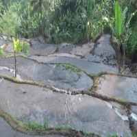 Penampungan Limbah Jebol, Sawah dan Permukiman di Darangdan Tercemar Kotoran Sapi