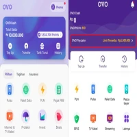 Kenapa OVO Paylater Tidak Muncul? Ini Cara Mengatasinya