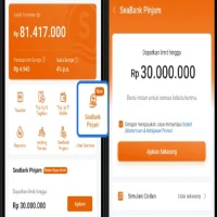 Cara Pinjam Uang di SeaBank Pinjam, Mudah, Cepat dan Aman