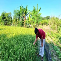 Belum Merata, Petani Ingin Kemudahan Dapatkan Solar Subsidi