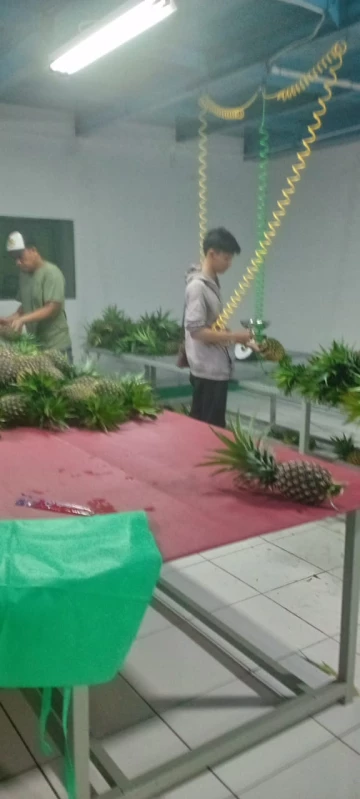Ekspor Perdana Buah Nanas dari Subang ke Korea, Sebuah Langkah Besar bagi Petani Nanas Jalancagak