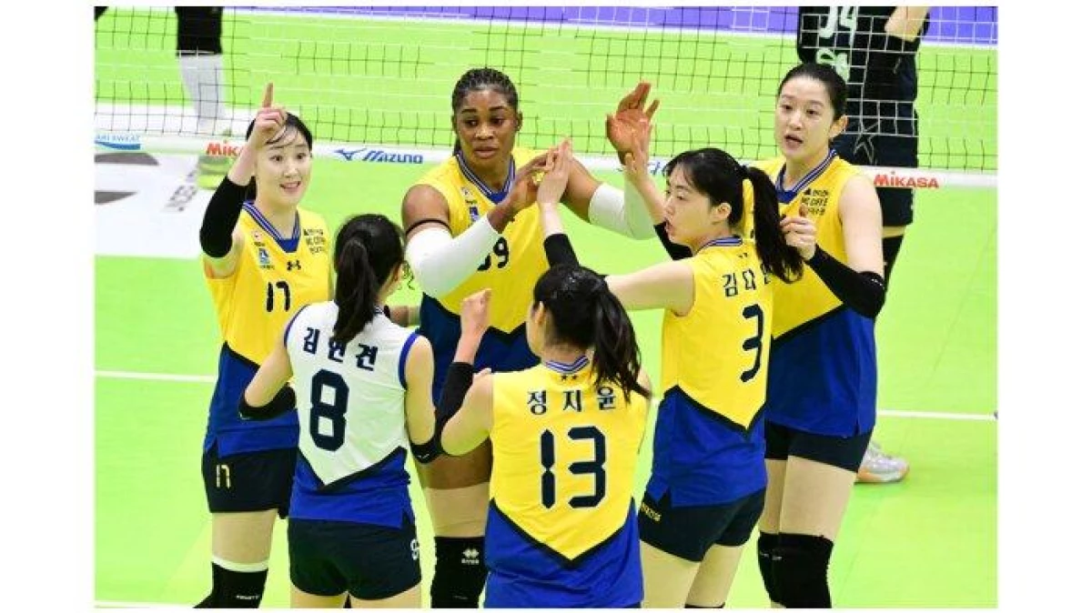 Jadwal Final Liga Voli Korea, Hyundai Hillstate vs Hangkuk Pink Spiders