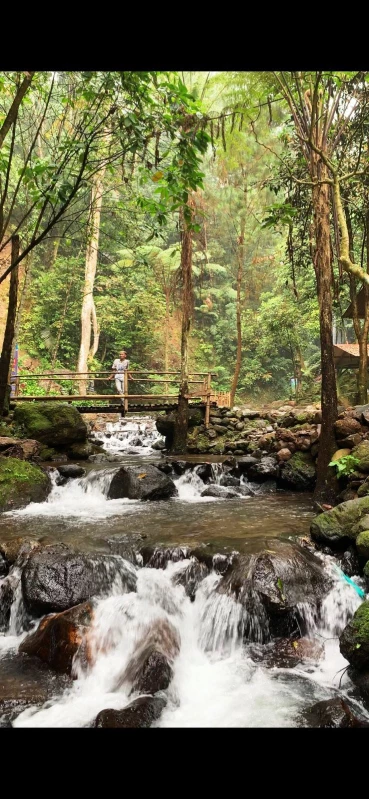 Curug Sadim Rekomendasi Camping Bareng Keluarga