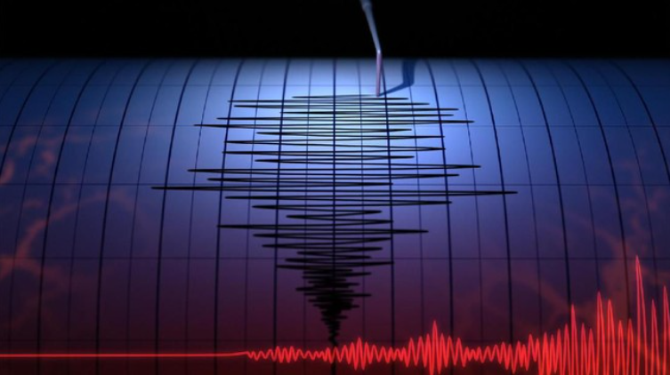 Gempa Hari ini Magnitudo 4,8 Guncang Pasaman Barat Sumbar