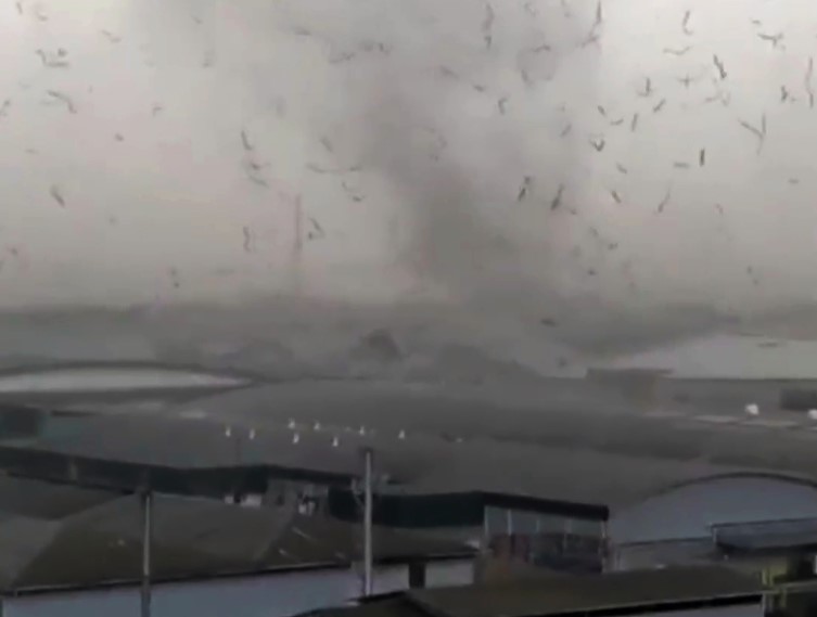 Angin Puting Beliung Terjang Pabrik dan Puluhan Rumah di Rancaekek, 2 Orang Alami Luka-Luka