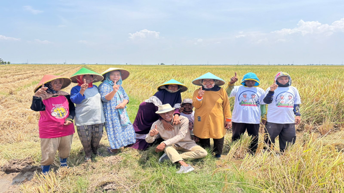 Petani Pantura harap Kang Jimat perhatikan pertanian jika kembali terpilih di Pilkada Subang.