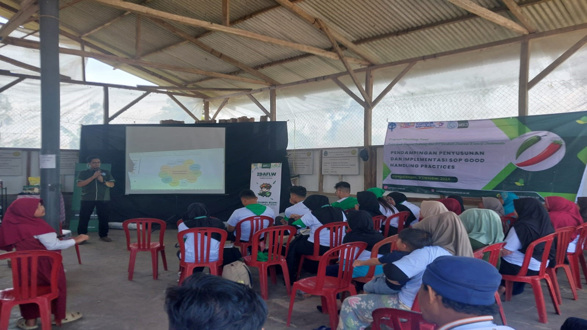 Petani dan Warga di Pangalengan Jawa Barat Belajar Good Handling Practices Komoditas Cabai