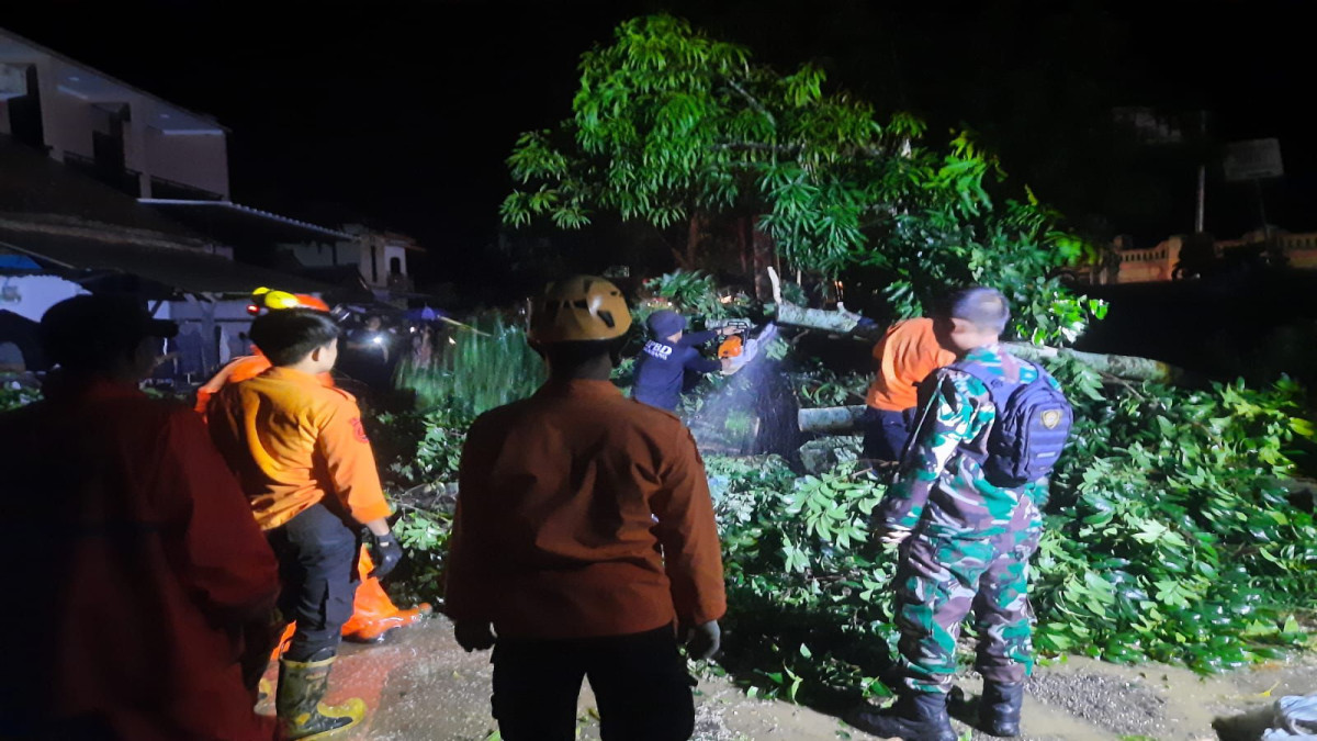 Tim BPBD Kabupaten Subang saat mengevakuasi pohon tumbang yang menghalangi akses jalan umum.