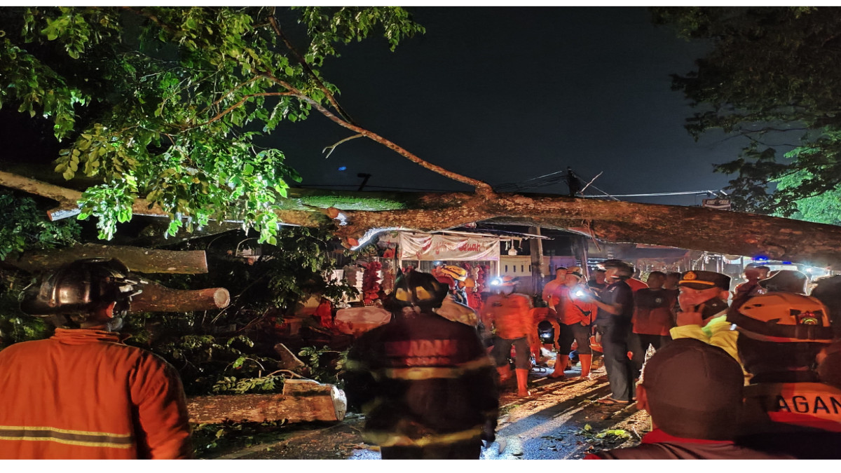 Pohon Tumbang di Jalan Raya Cinangsi Akibat Angin Kencang dan Hujan Deras