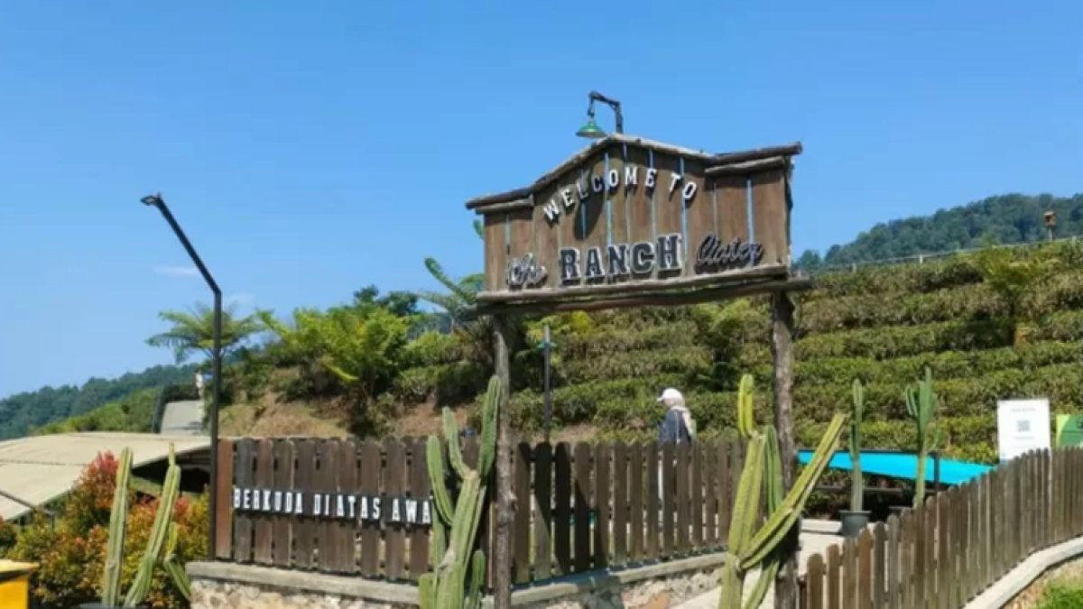 Mau Healing? Ke Sini aja! Tempat Wisata Alam di Subang yang Pesonanya bikin Adem