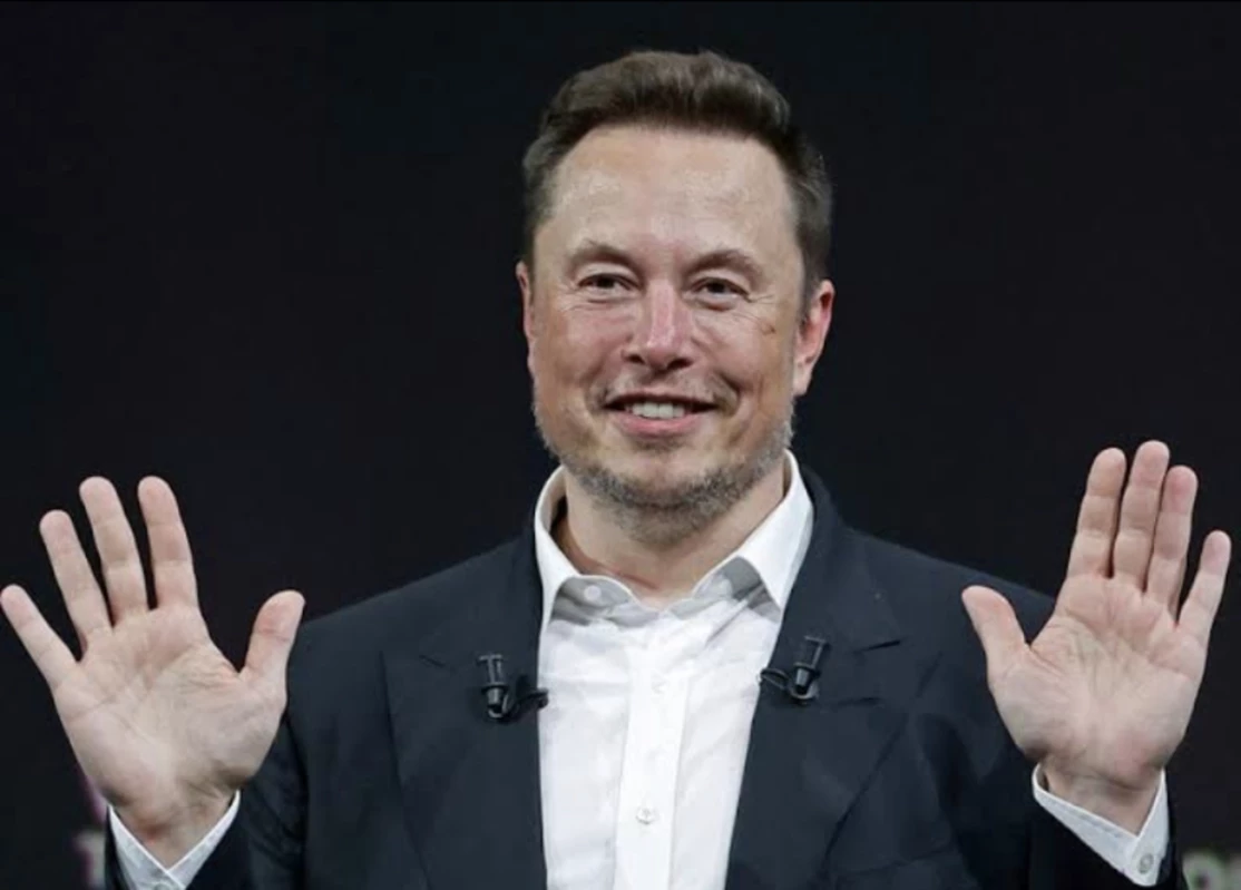 Foto: Elon Musk/ Screenshots via/Business Insider