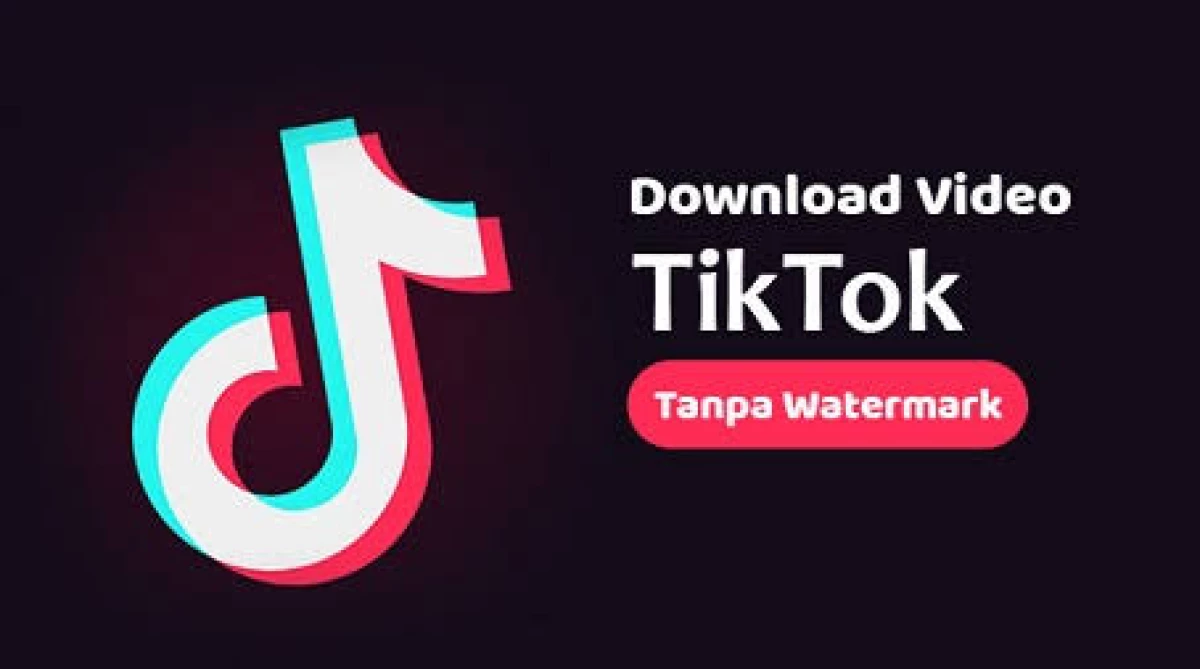 Cara Download TikTok Tanpa Watermark