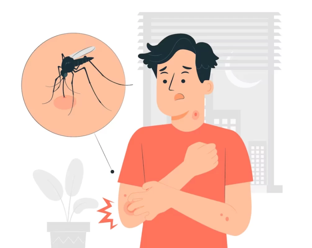 Gejala, Penanganan, dan Pencegahan Demam Berdarah Dengue DBD