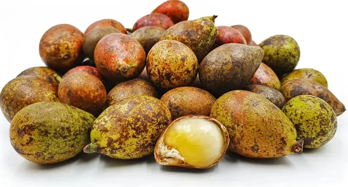 Manfaat Buah Matoa