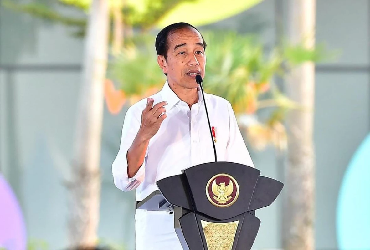 Presiden Jokowi Resmikan Operasional Kawasan Industri Terpadu Batang