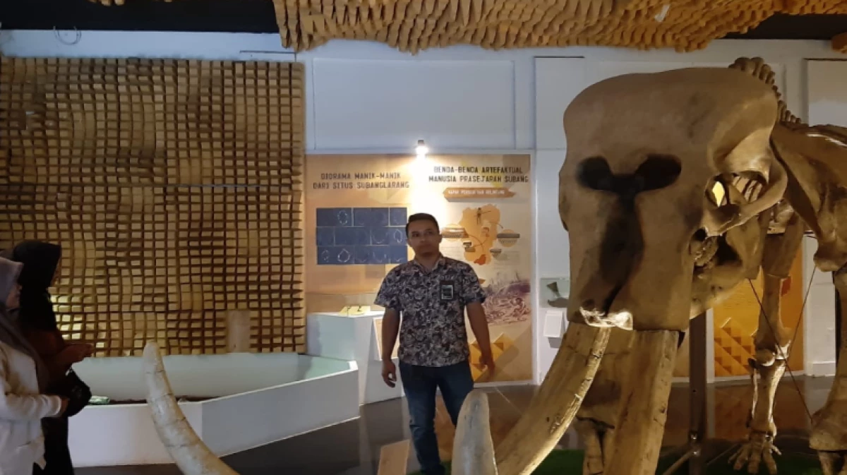Museum Subang: Alamat, Jadwal, dan Fasilitas Terbaru 2024