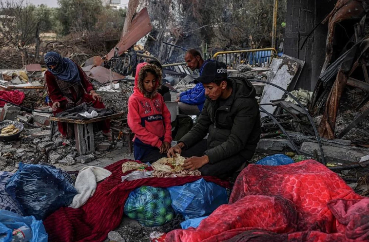 Warga Gaza Makan Tanaman Liar akibat Bencana Kelaparan yang semakin Mengerikan