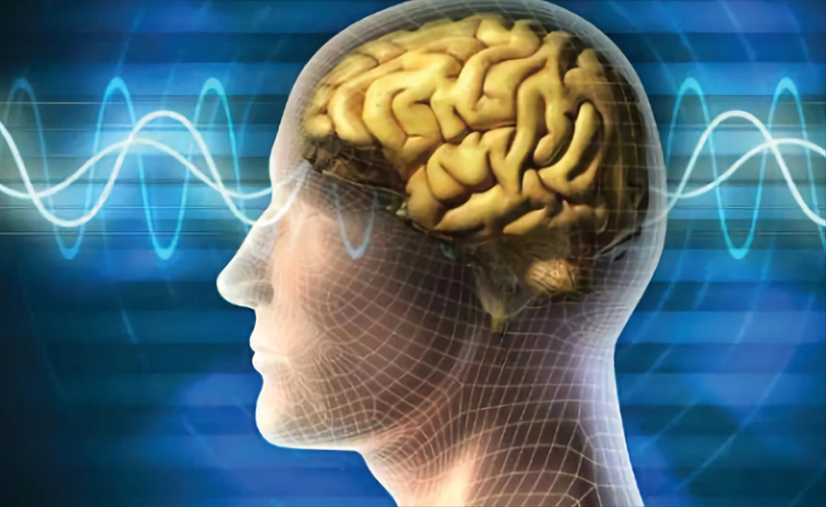 Pola Otak untuk Meningkatkan Memori