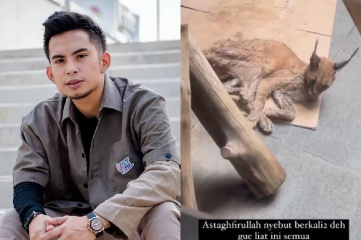 Okin Diamuk Rachel Vennya Gara-Gara Telantarkan Kucing Caracal Peliharaannya Hingga Kurus, Langsung Dihujat Netizen