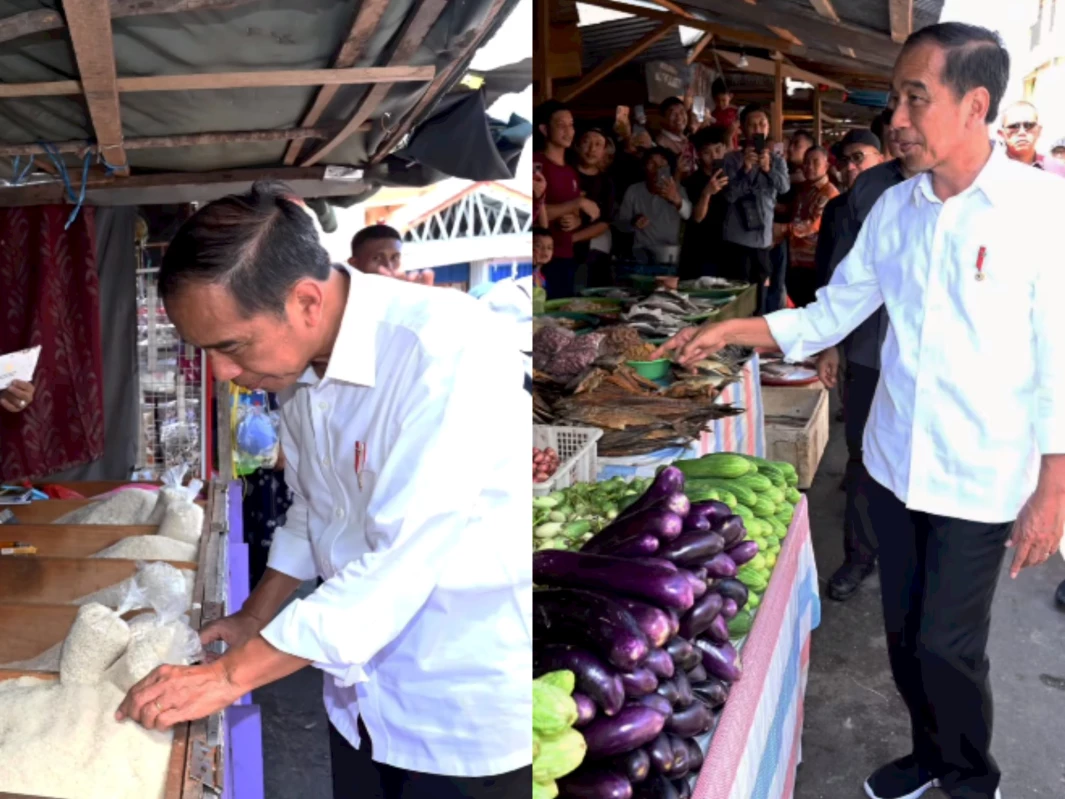 Presiden Jokowi Cek Harga Bahan Pokok di Pasar Beringin Buntok