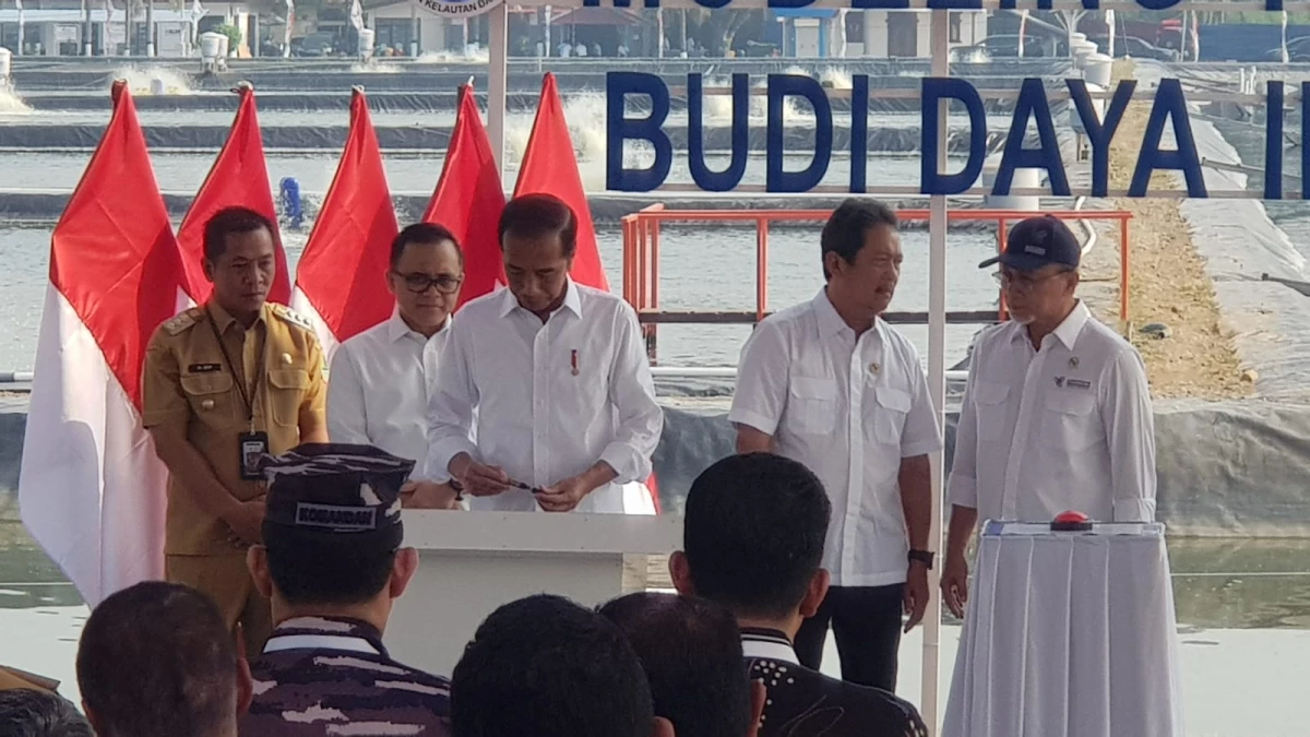 Jokowi Resmikan Tambak Budidaya Ikan Nila Salin di Karawang