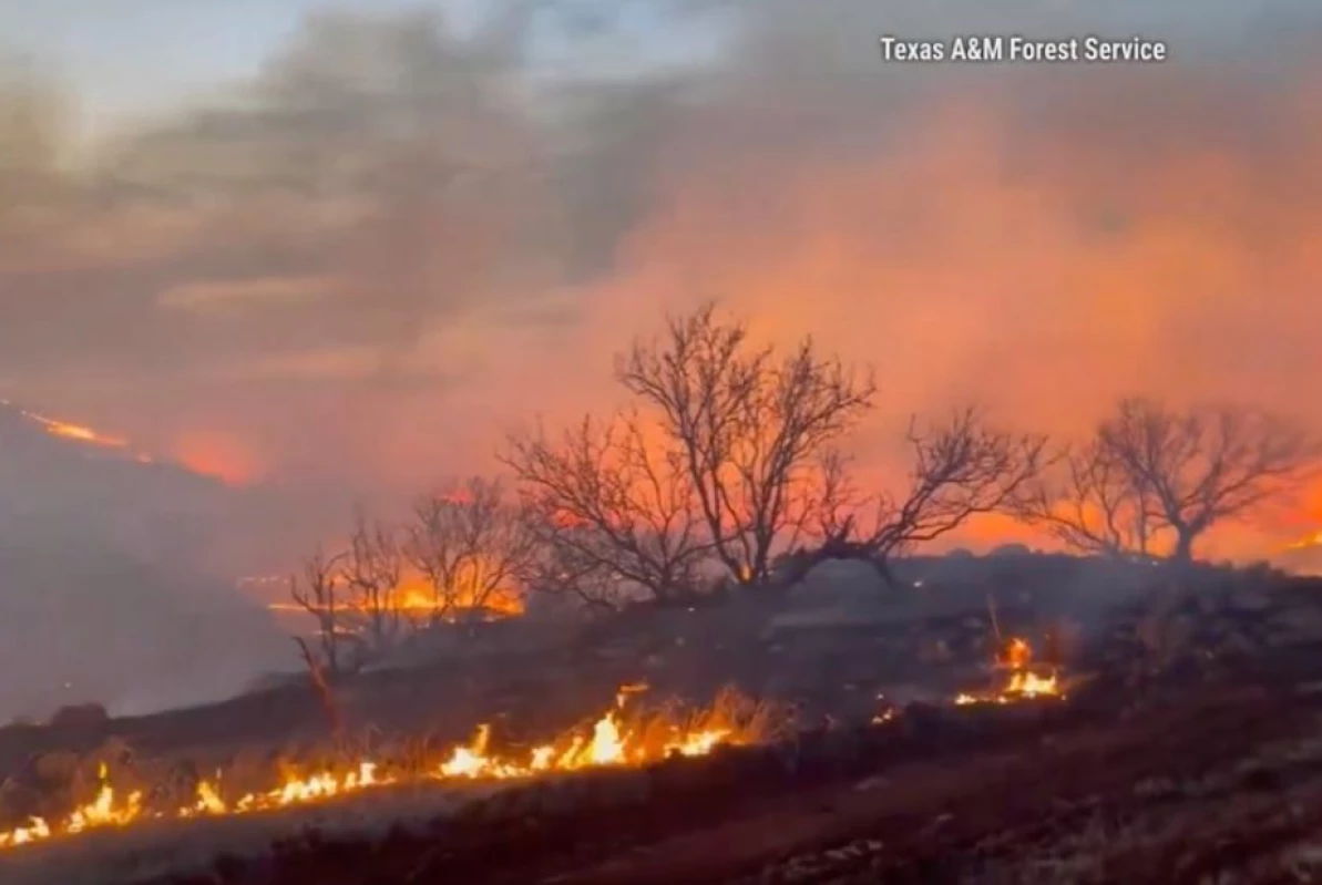 Deklarasi Bencana Dikeluarkan ketika Texas Dilanda Kebakaran Hutan 'Dahsyat'