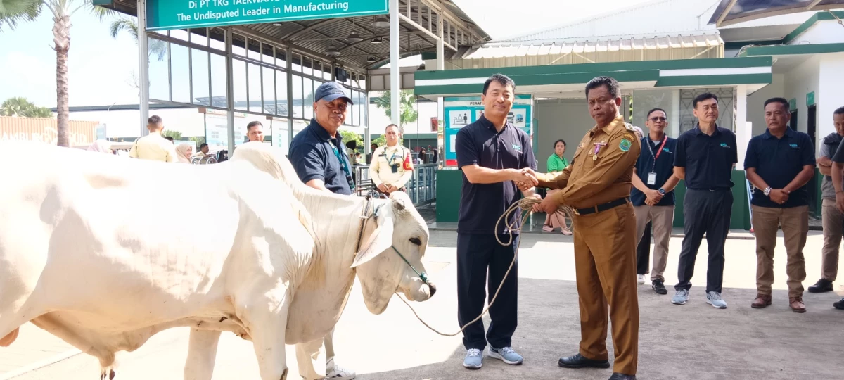 Pimpinan PT TKG Taekwang Indonesia (tengah) memberikan hewan kurban secara simbolis kepada Kepala Desa Cinangsi Pepe Surya Subagja, Jumat (14/6).