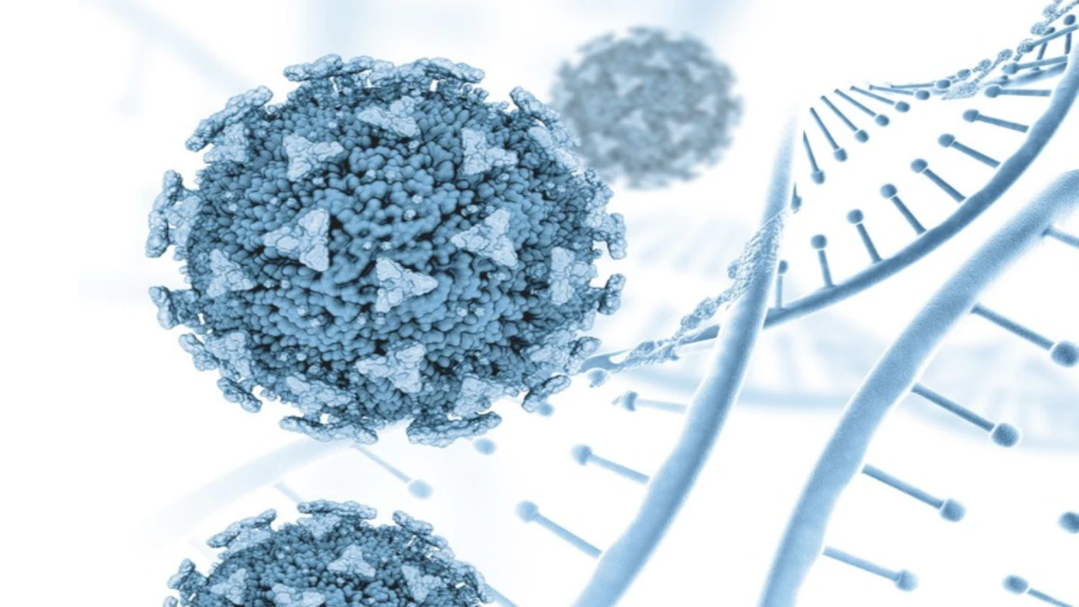 Merebaknya Human Metapneumovirus (HMPV): Apa yang Perlu Anda Ketahui?