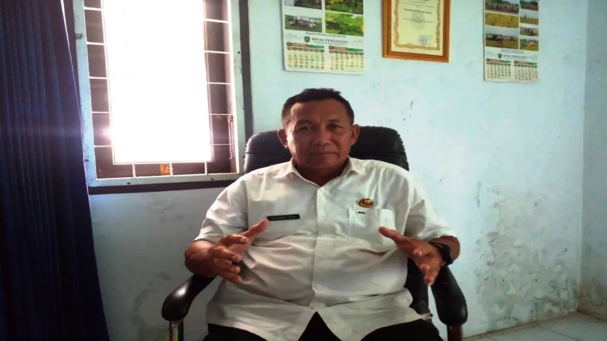 Dinas Pertanian Subang Targetkan 1,6 Juta Ton Stok Gabah, Untuk Wujudkan Swasembada Pangan