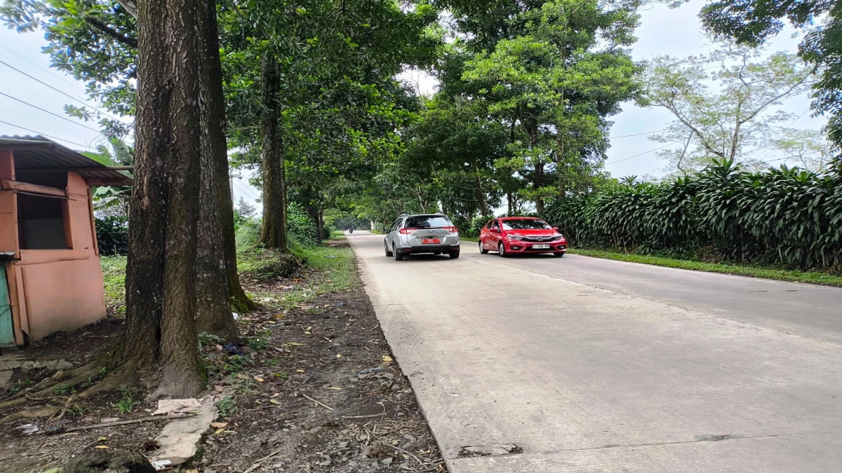 Jalur Jalancagak-Kasomalang Minim PJU, Jadi Pemicu Kecelakaan Lalu Lintas