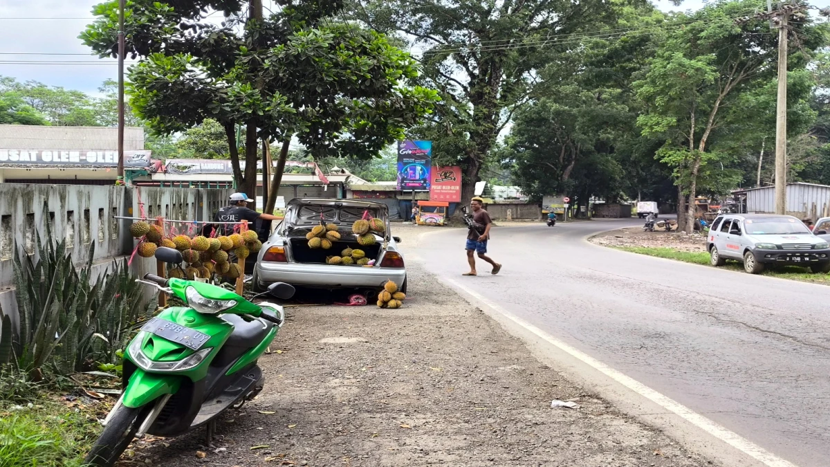 Musim Durian, Pedagang Raup Keuntungan di Subang