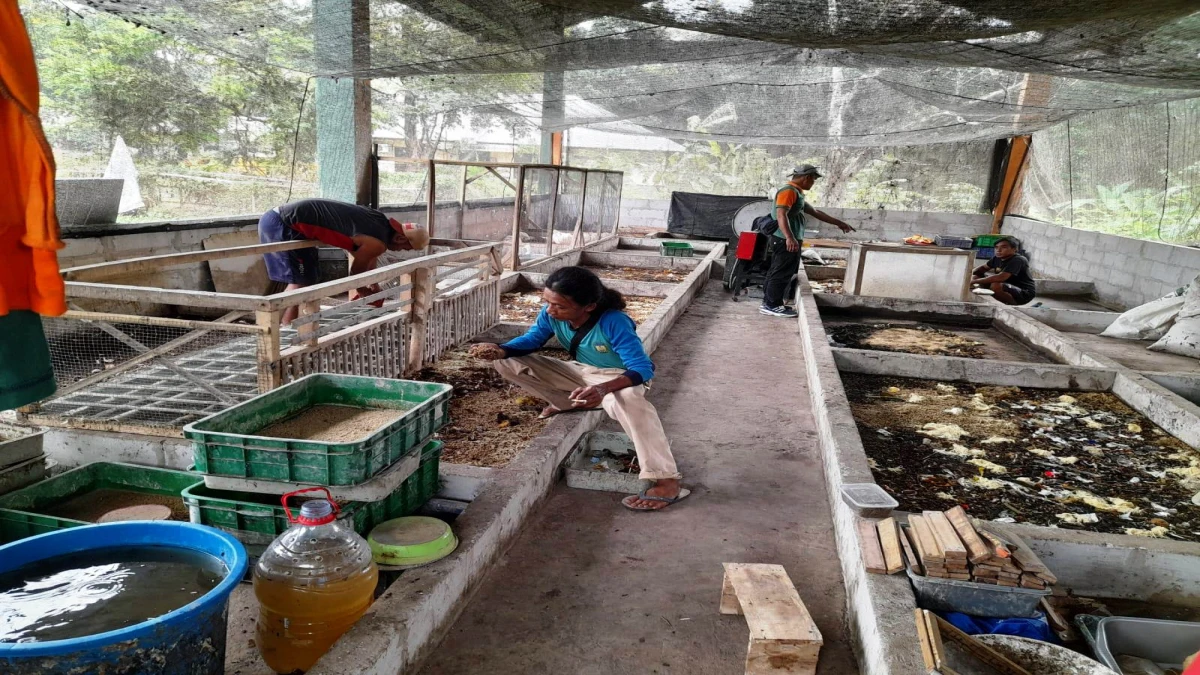 Pilah Sampah, DLH Kabupaten Subang Bakal Bangun 7 TPS 3 R