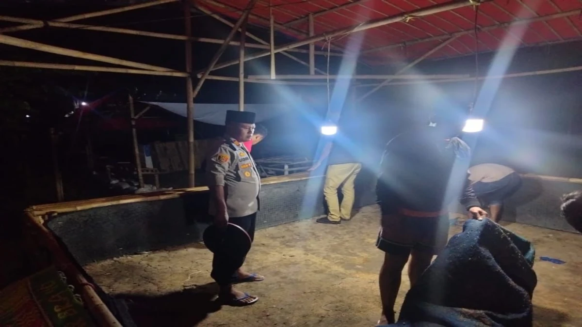 Praktik Judi Sabung Ayam Masih Terjadi di Subang, Polisi Ambil Tindakan Tegas