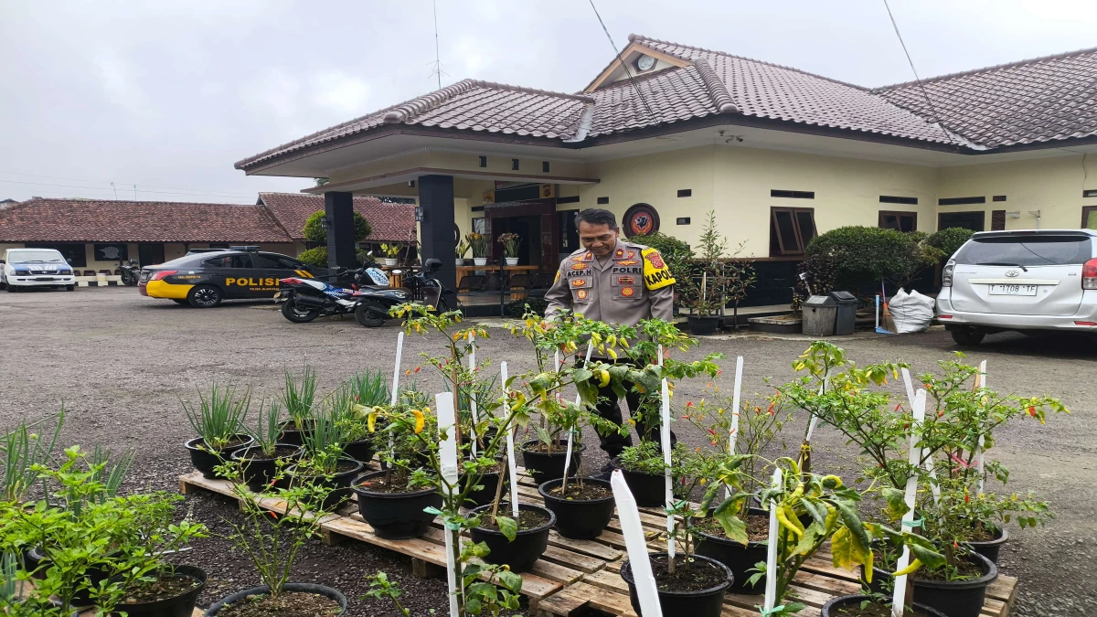 Polsek Jalancagak Dukung Ketahanan Pangan, Tanam Sayuran dan Tanaman Obat