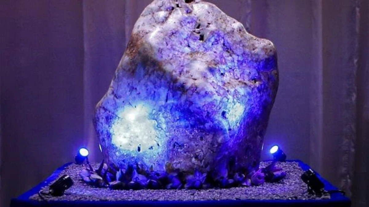 10 Batu Akik Termahal di Indonesia, Harganya Bikin Geleng-Geleng!