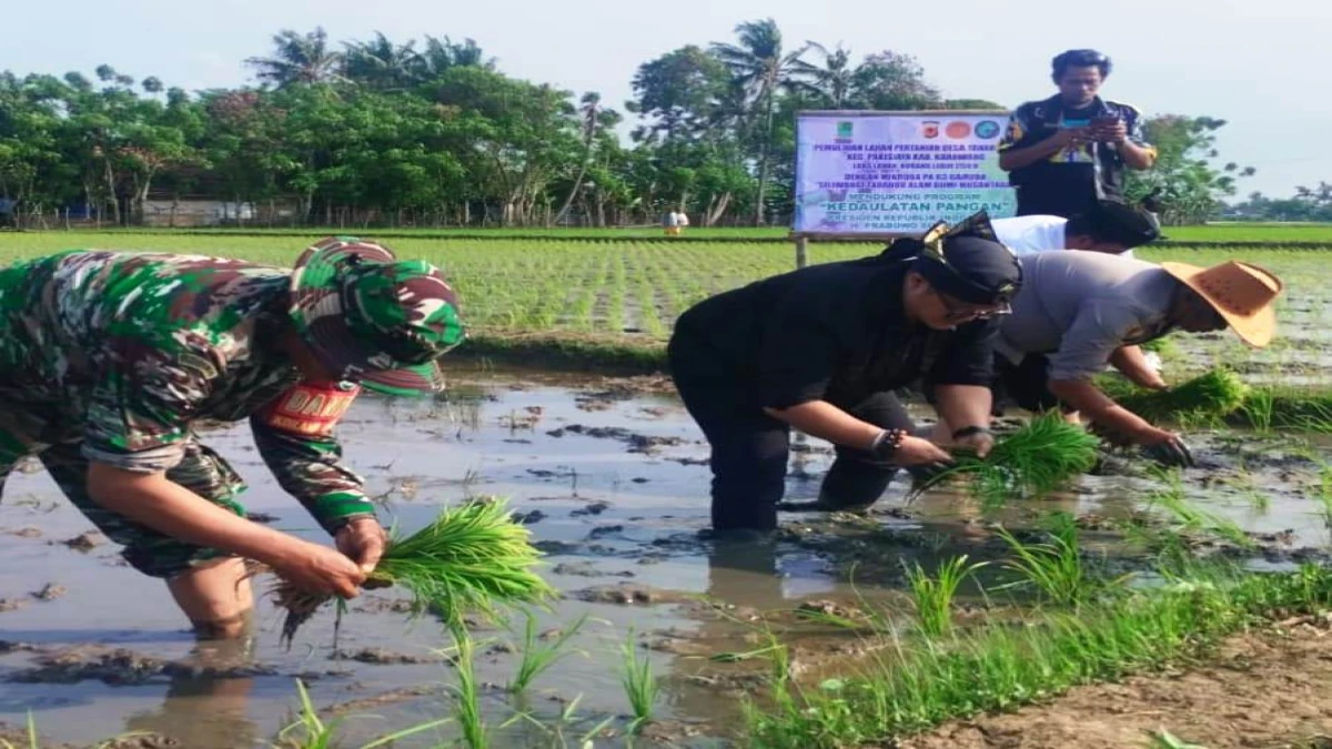 Pulihkan 250 Hektare Lahan Petani di karawang, Program Siliwangi Tadabur Alam Bumi Nusantara