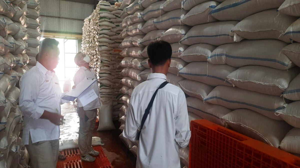 Cadangan Beras Pemda Subang Hanya 91 Ton, Kadis Ketahanan Pangan: Jauh di Bawah Jumlah Ideal