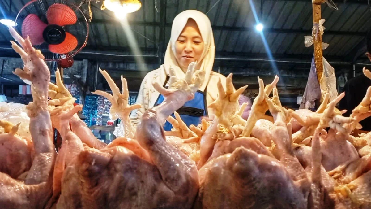 Jelang Ramadan, Harga Ayam Potong dan Kelapa Naik di Purwakarta