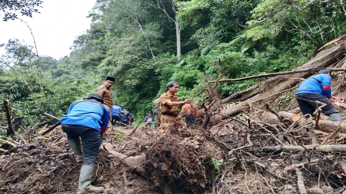 Tanah Longsor di Jalan Darmaga-Bukanagara Cisalak, Akses Jalan Terputus