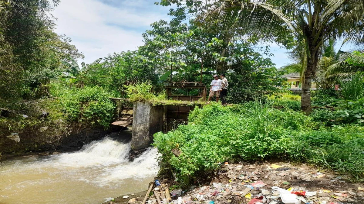Petani Minta Pemerintah Subang Perbaiki Pintu Air Lebak Cipaku, Butuh Kondisi Irigasi yang Baik