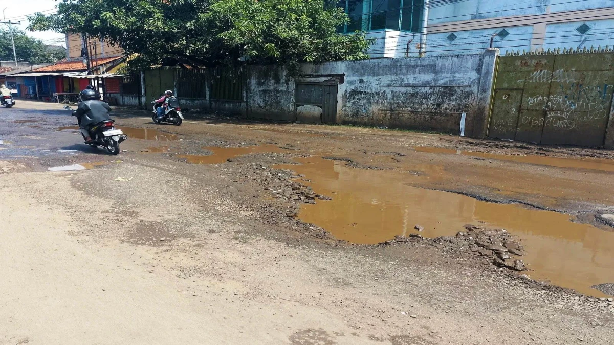 Jalan Provinsi Jalur Subang-Pamanukan Rusak dan Berlubang, Bahayakan Pengguna Jalan