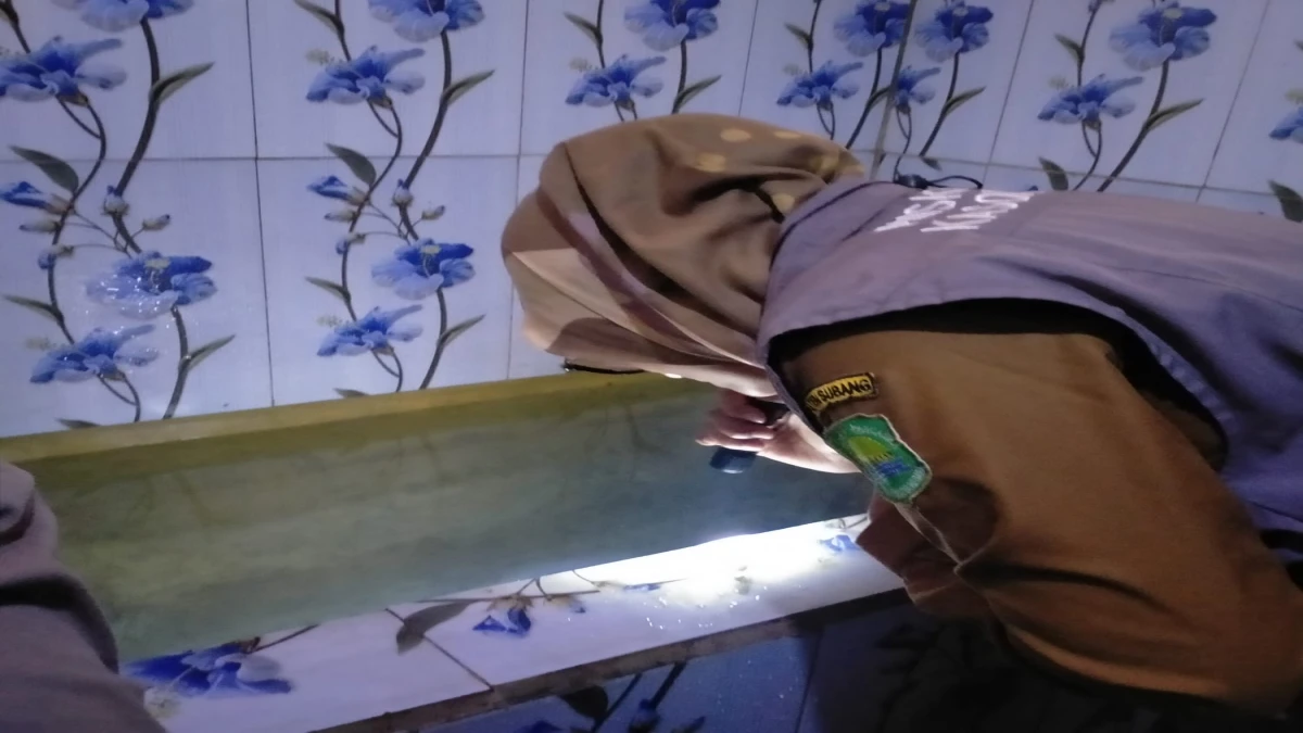 Dinkes Subang Gerak Cepat Tangani Kasus Chikungunya di Kasomalang Kulon