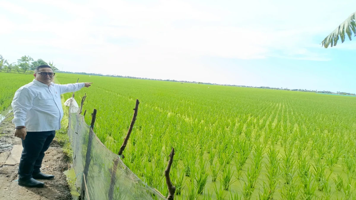 Mikroba PA 63 Garuda Pulihkan 250 Ha Lahan Petani, Kakang Prabu Juga Bagikan Bibit
