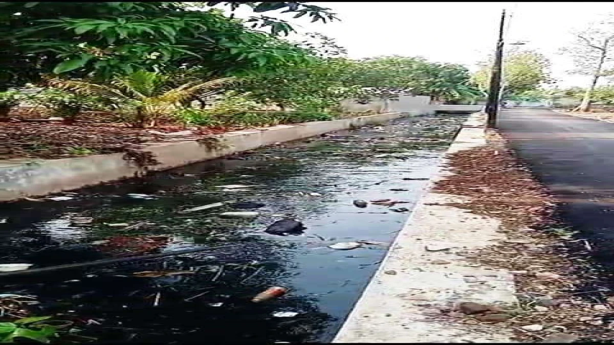 Dinas Lingkungan Hidup Subang Buka Suara Soal Sungai Sawah Baru di Sukamelang Tercemar
