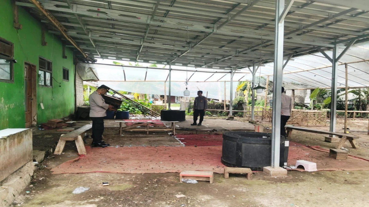 Polisi Selidiki Pemilik Arena Sabung Ayam di Subang, Diduga Digunakan untuk Tempat Judi