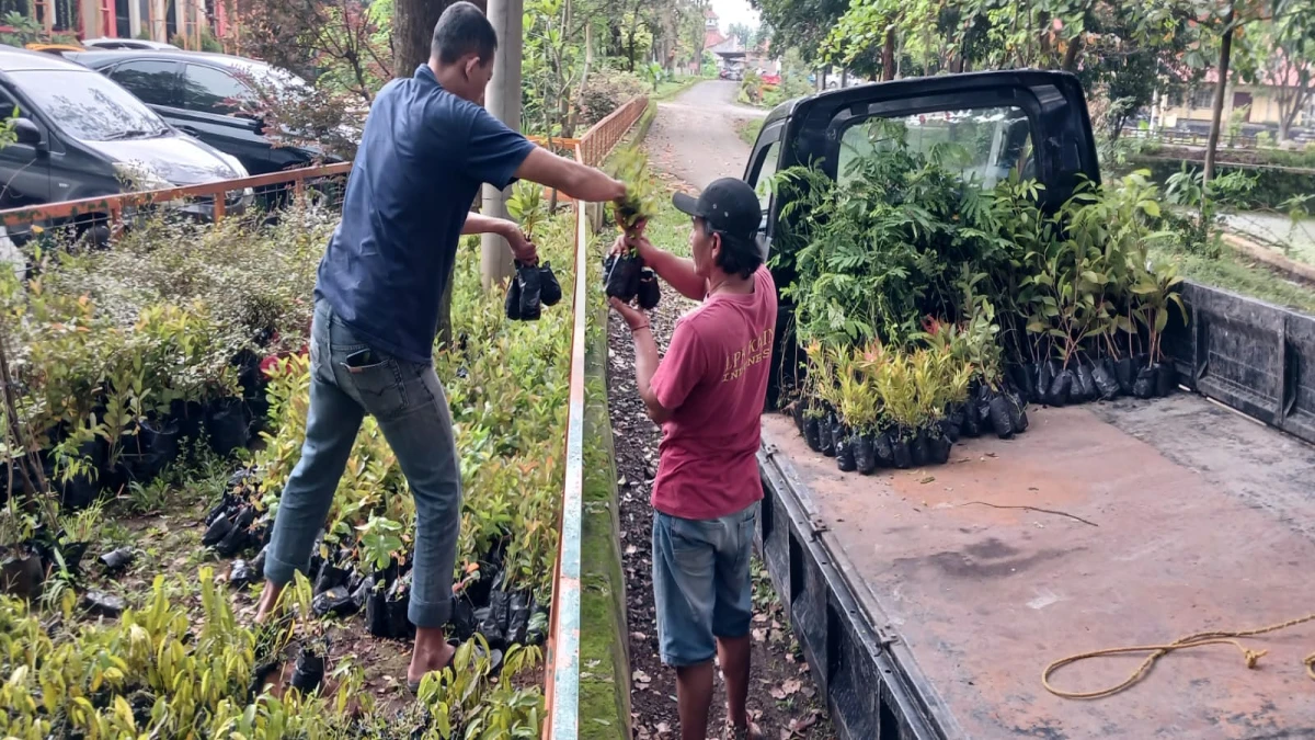 Dinas Lingkungan Hidup Subang Bagikan THR: Tanaman Hutan Rakyat untuk Penghijauan