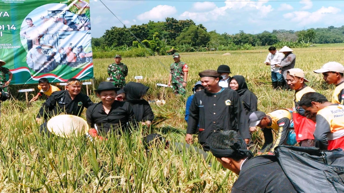 Bupati Purwakarta Saepul Bahri Binzein Targetkan Surplus Padi