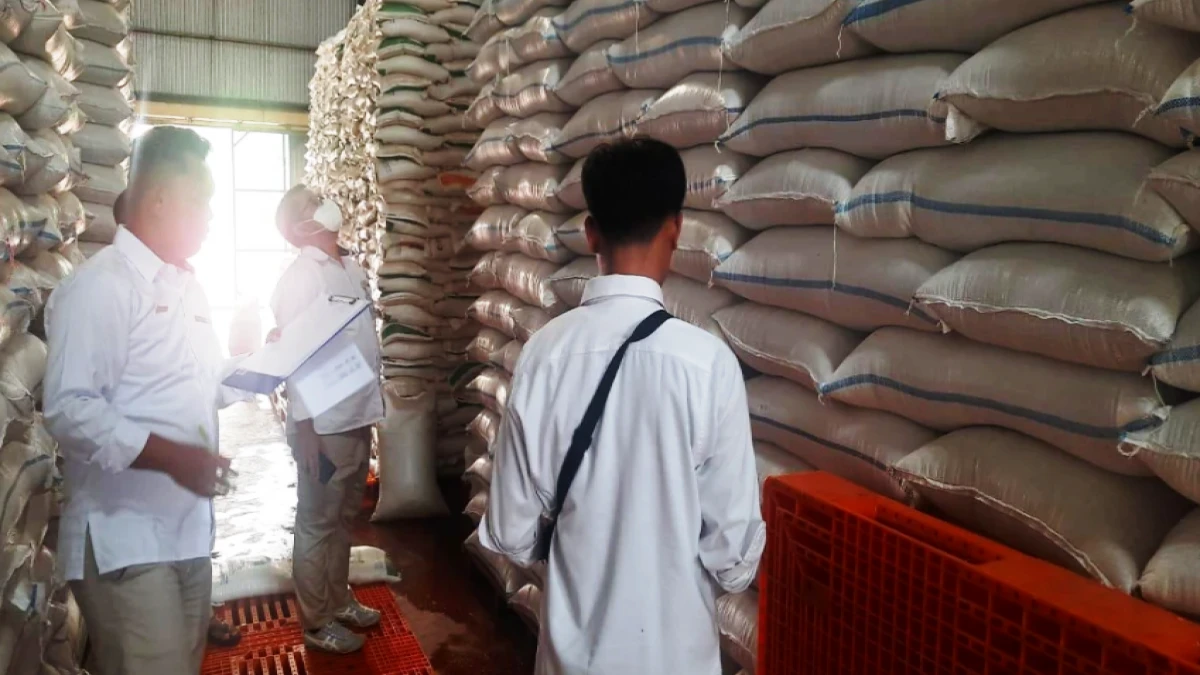 Hingga April, Bulog Subang Serap 31 Ribu Ton Lebih Gabah Petani
